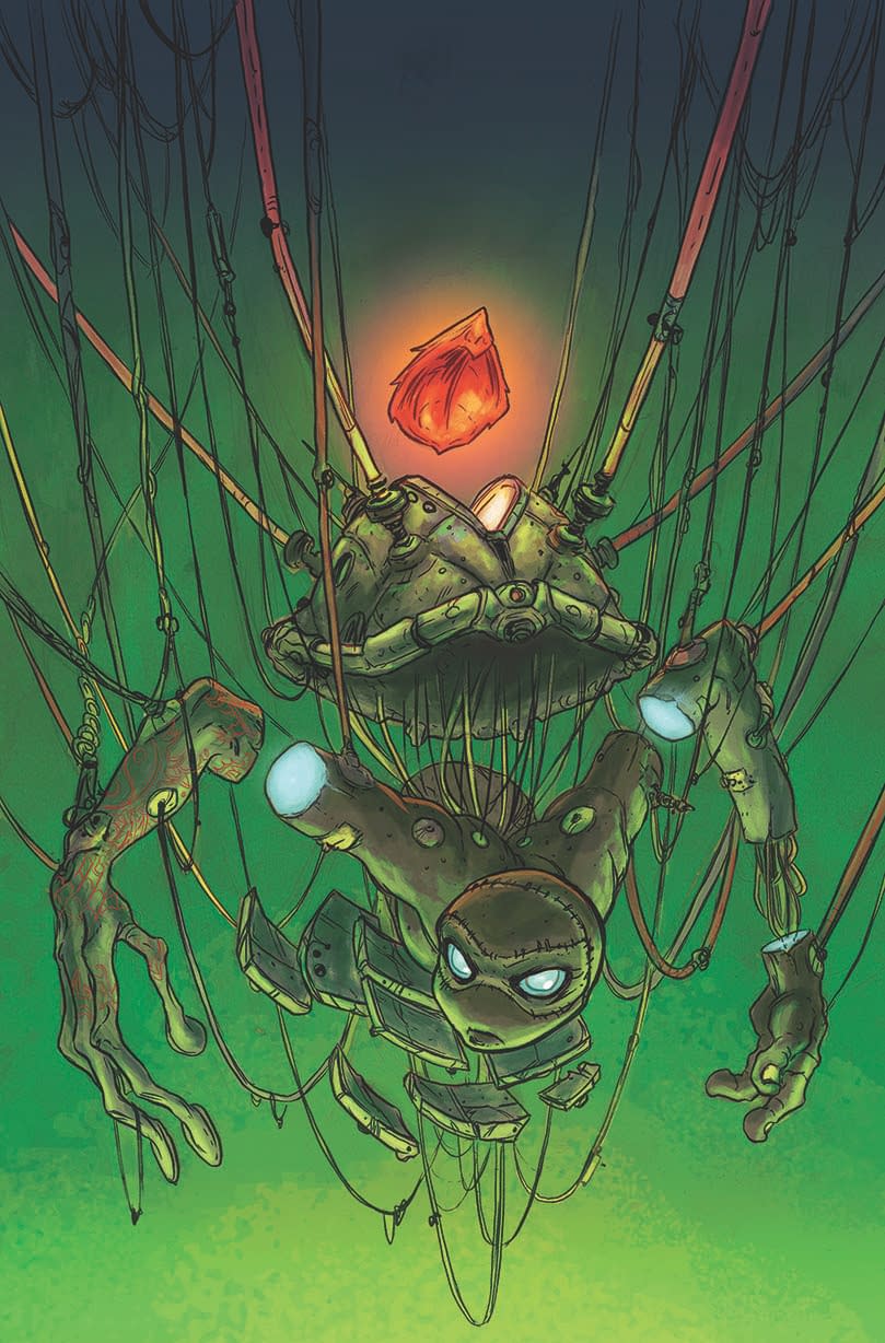 Venus The Female Turtle Returns In TMNT 127 From IDW