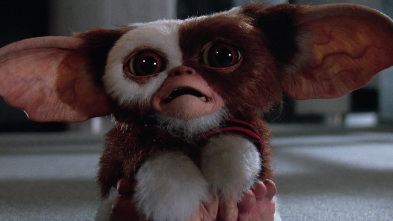 gremlins stuff