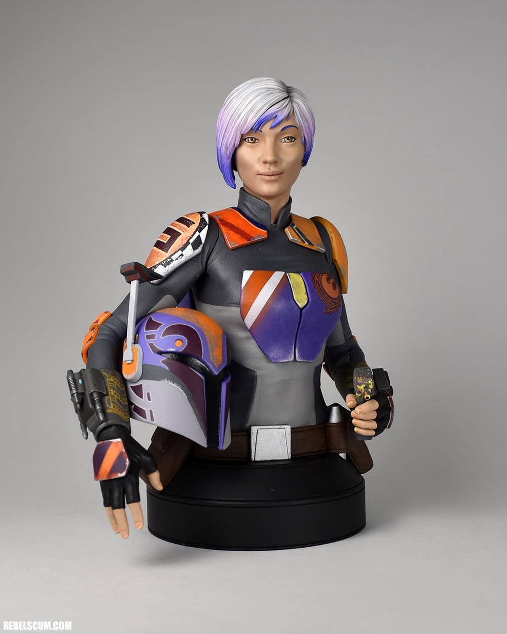 gentle giant sabine wren