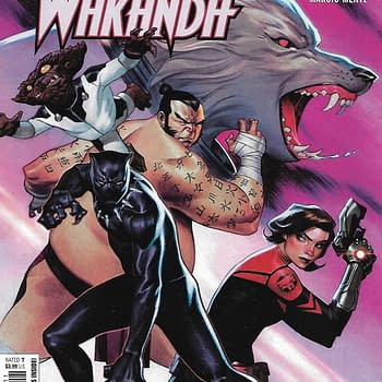 Black Panther & The Agents Of Wakanda #2 Main Cover