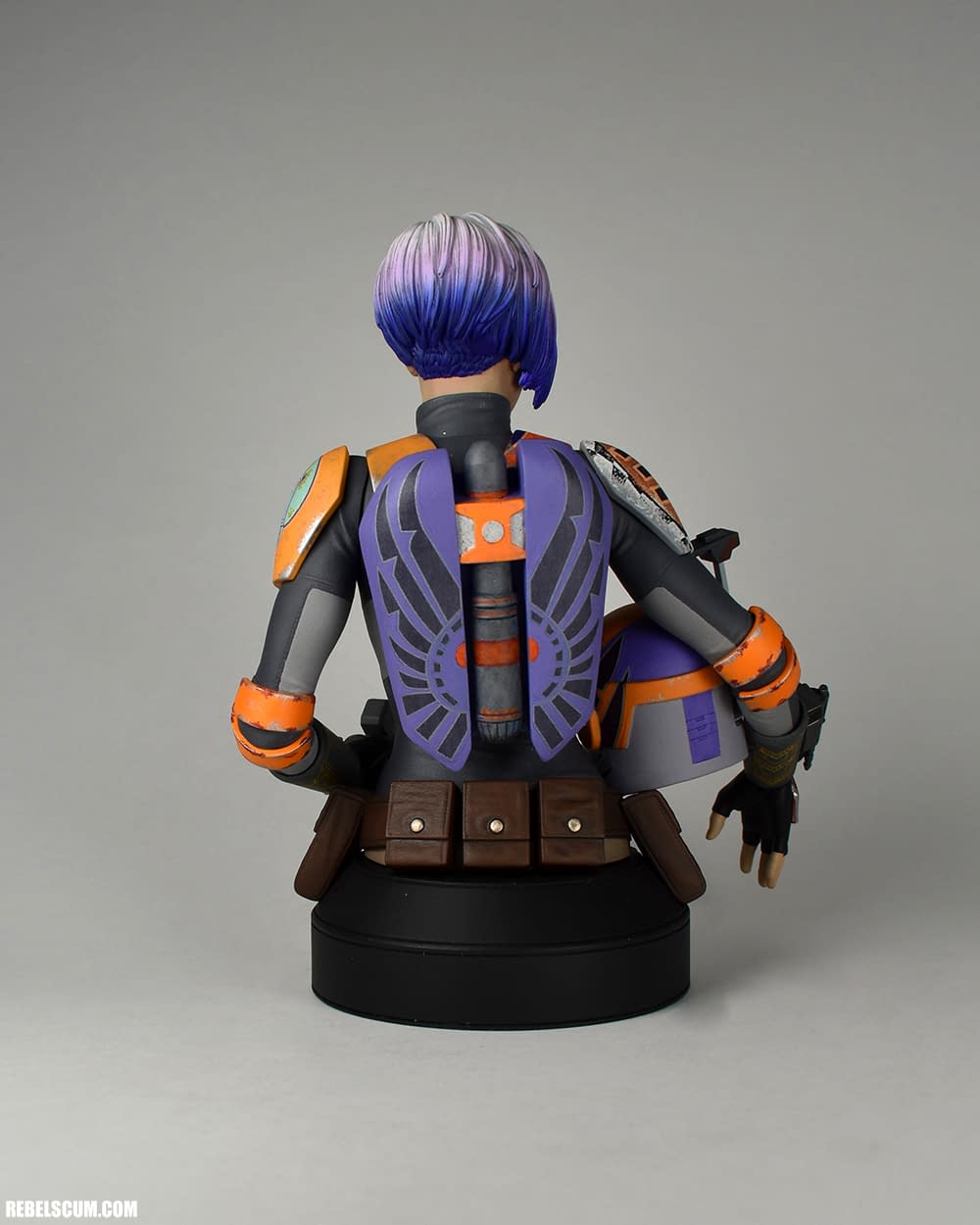 gentle giant sabine wren