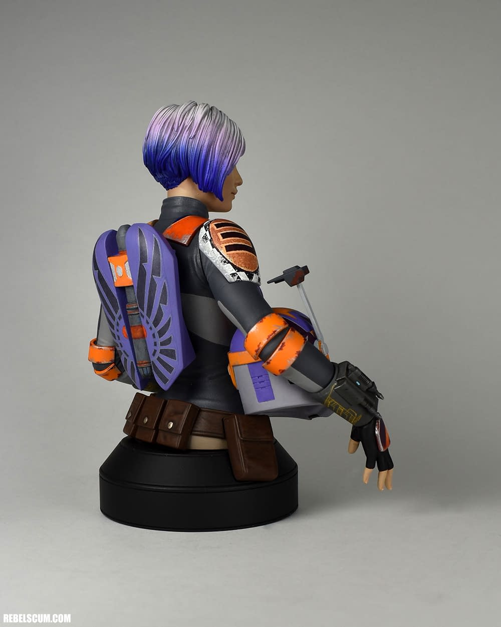 gentle giant sabine wren