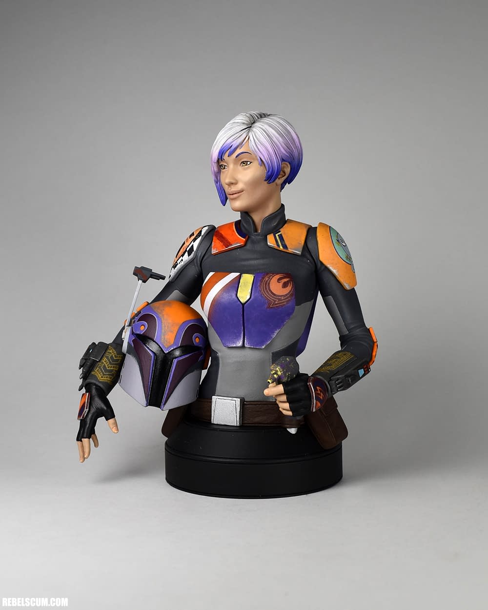 gentle giant sabine wren