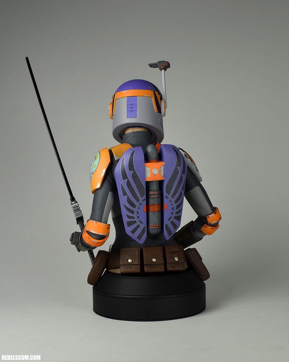 gentle giant sabine wren