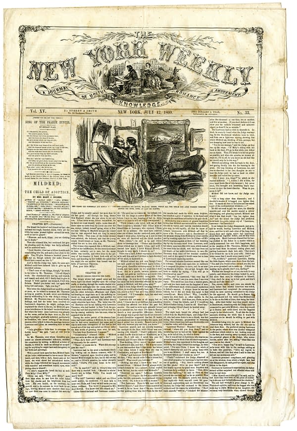 THE ISSUE: Grizzly Adams and the California Bear Flag