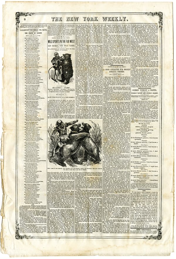 THE ISSUE: Grizzly Adams and the California Bear Flag