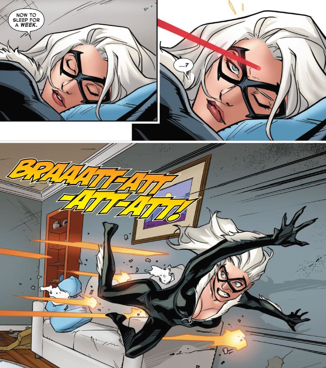 The Black Cat, The Punisher's Dog And John Wick (Spoilers)
