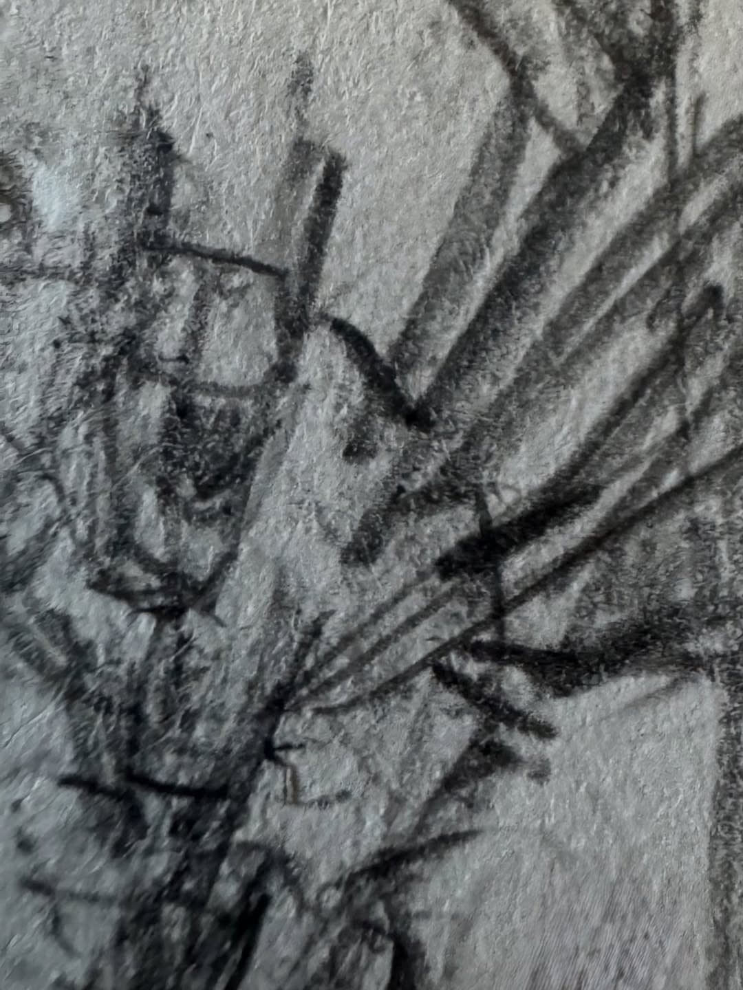 It Looks Like Greg Capullo Is Drawing For Absolute Batman #25