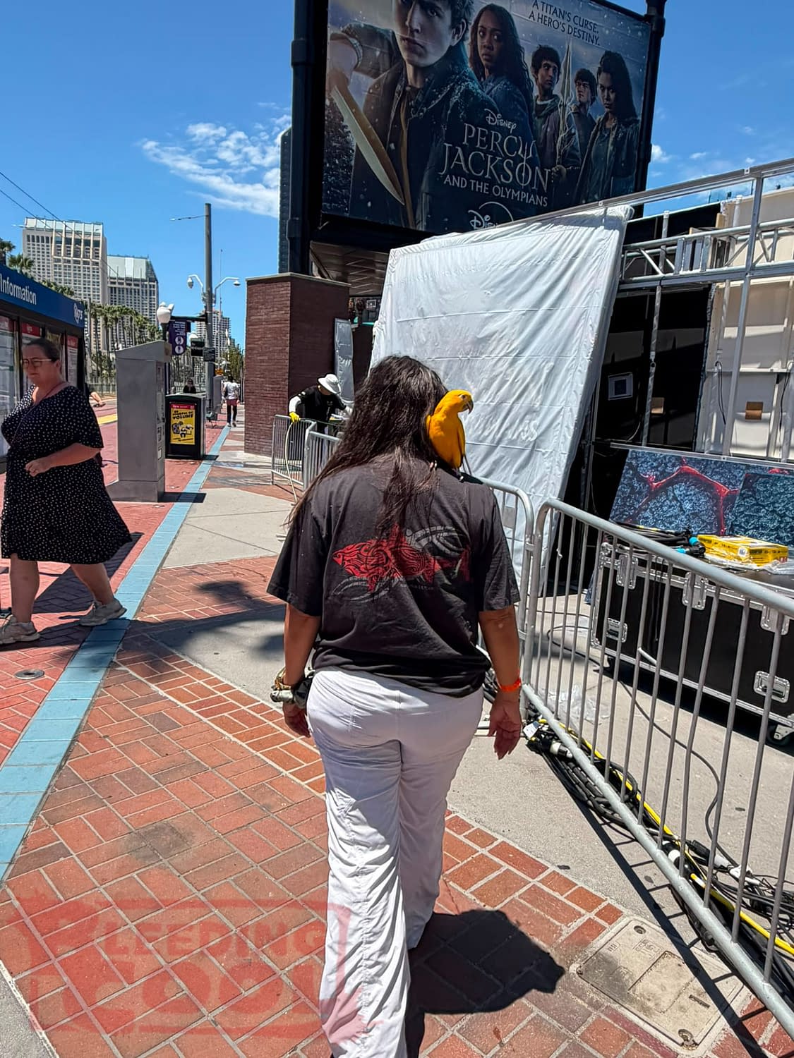 Tomorrow, San Diego Comic-Con Begins, Here's How It Looks Right Now...