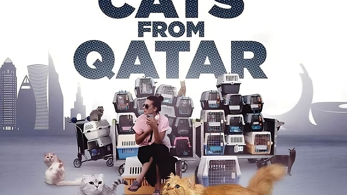 25 Cats From Quatar: Whole Grain Pictures Brings Lost