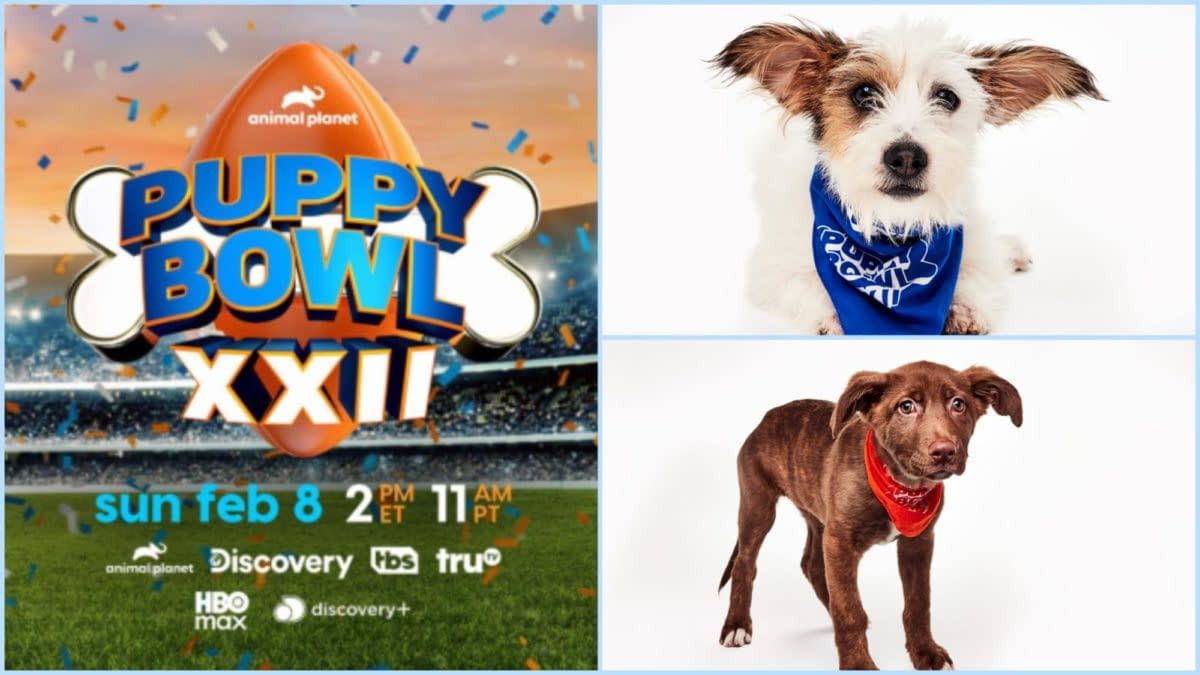 Puppy Bowl XXII