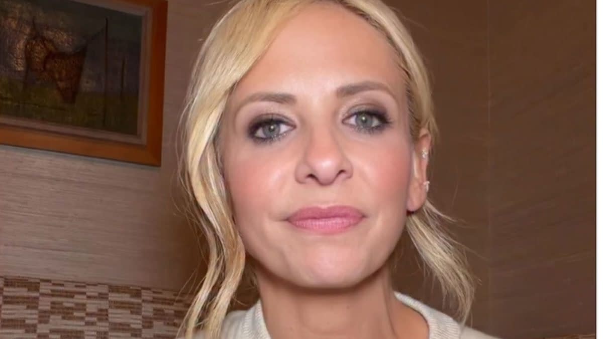 Screencap of Sarah Michell Gellar