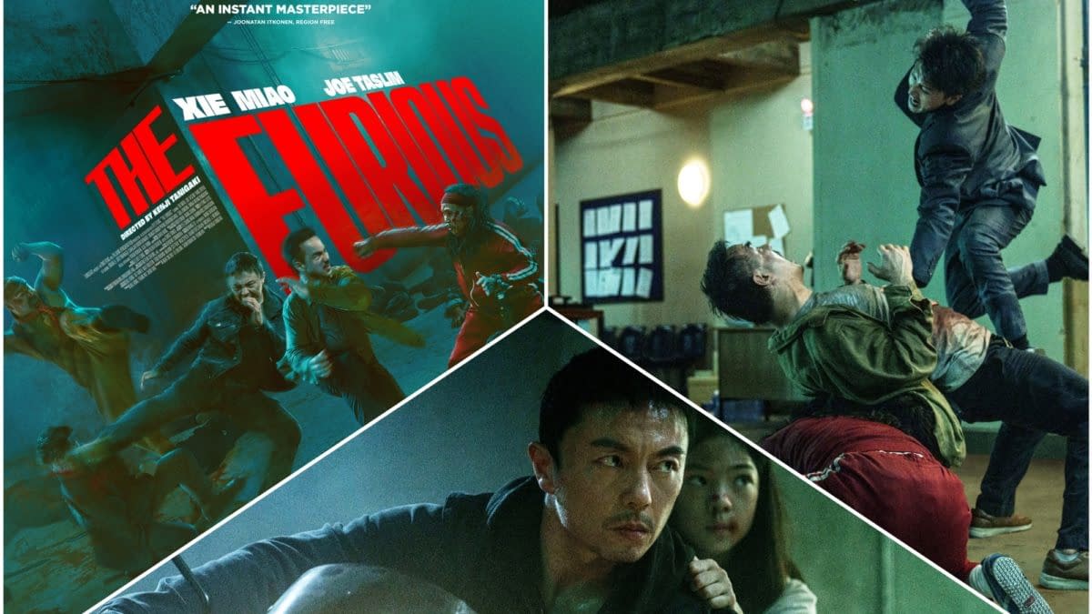 A dynamic movie poster for 'The Furious,' featuring dramatic action scenes and close-ups of characters engaged in intense fight sequences. The bold red title stands out against a moody background, highlighting the film's focus on high-energy action and suspense.