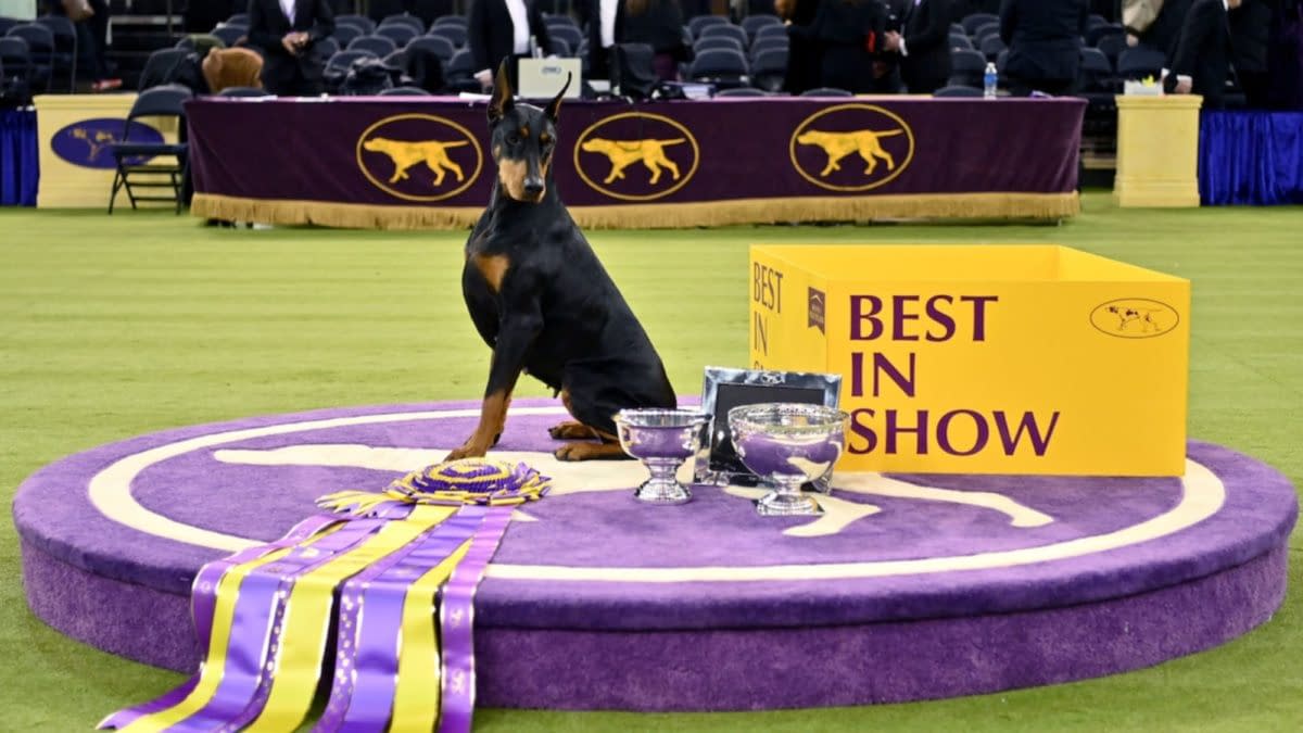 Westminster Dog Show