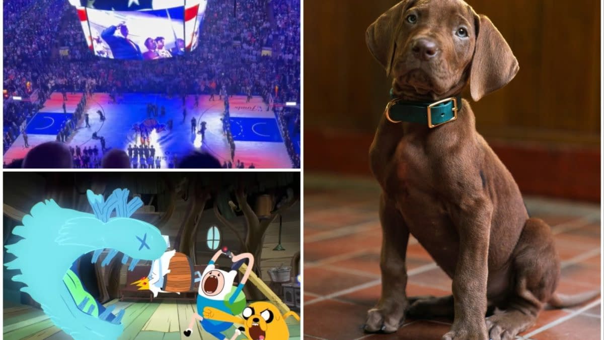 Adventure Time, Scooby-Doo, Trump/Knicks & More: BCTV Daily Dispatch