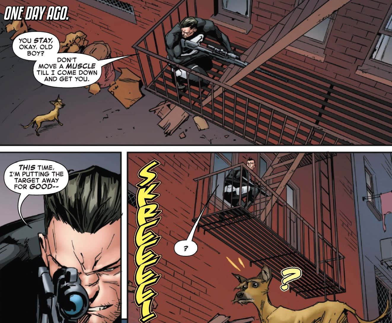 The Black Cat, The Punisher's Dog And John Wick (Spoilers)