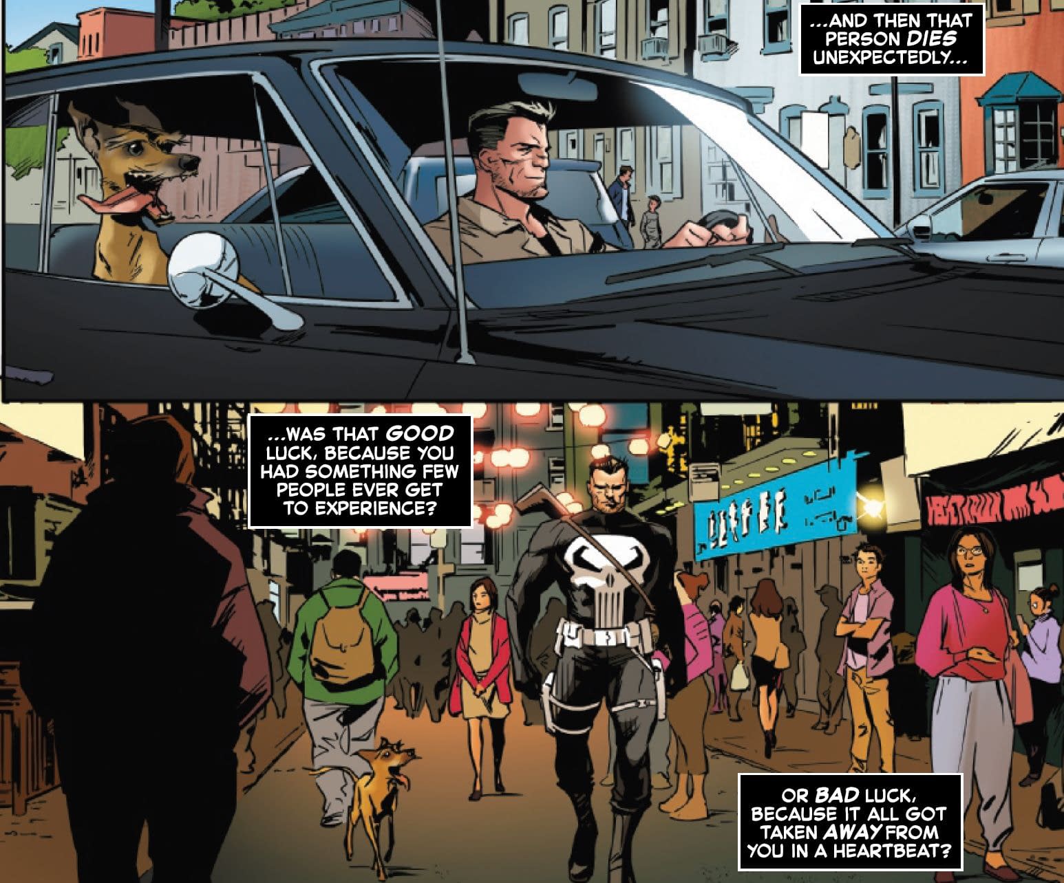 The Black Cat, The Punisher's Dog And John Wick (Spoilers)