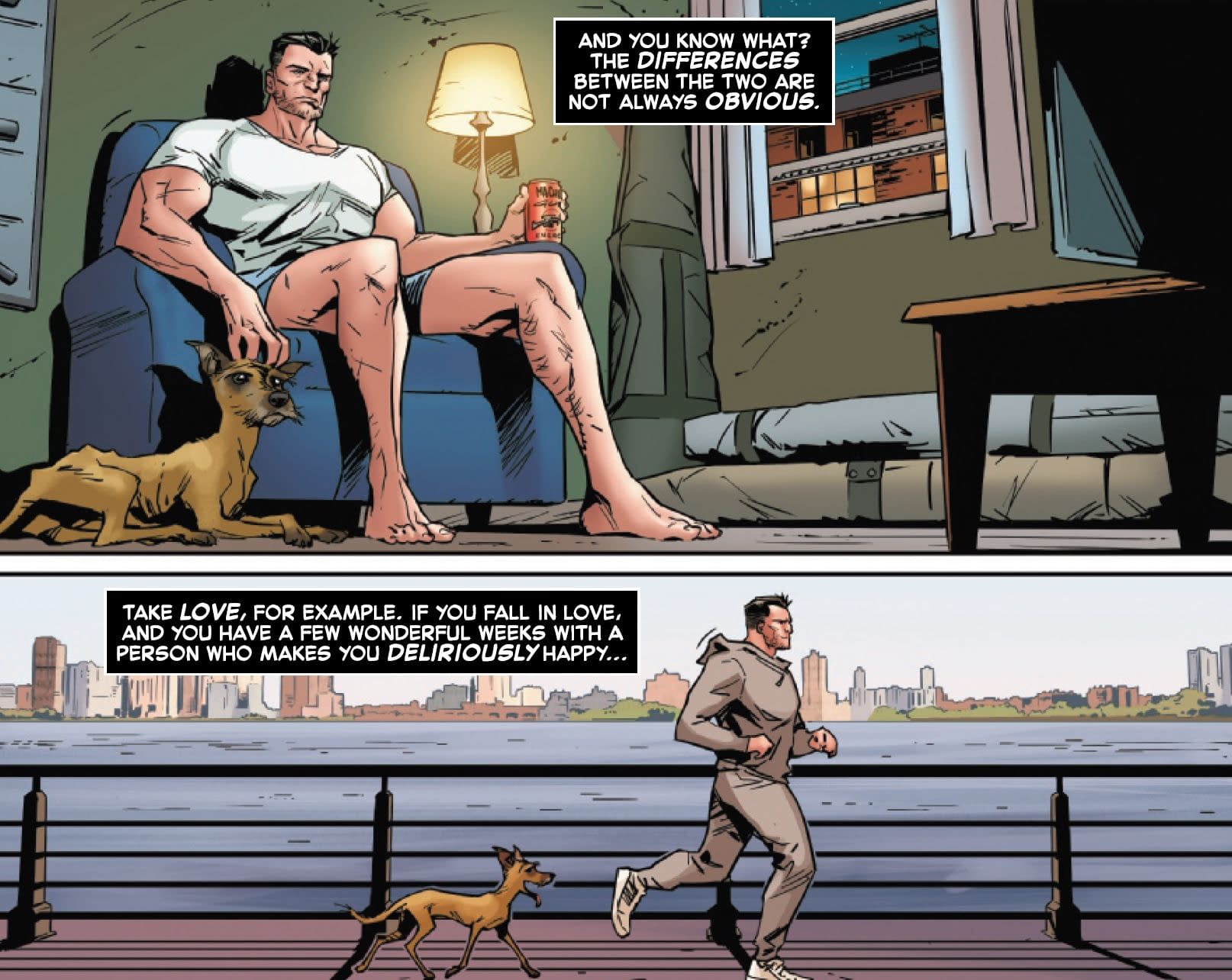 The Black Cat, The Punisher's Dog And John Wick (Spoilers)