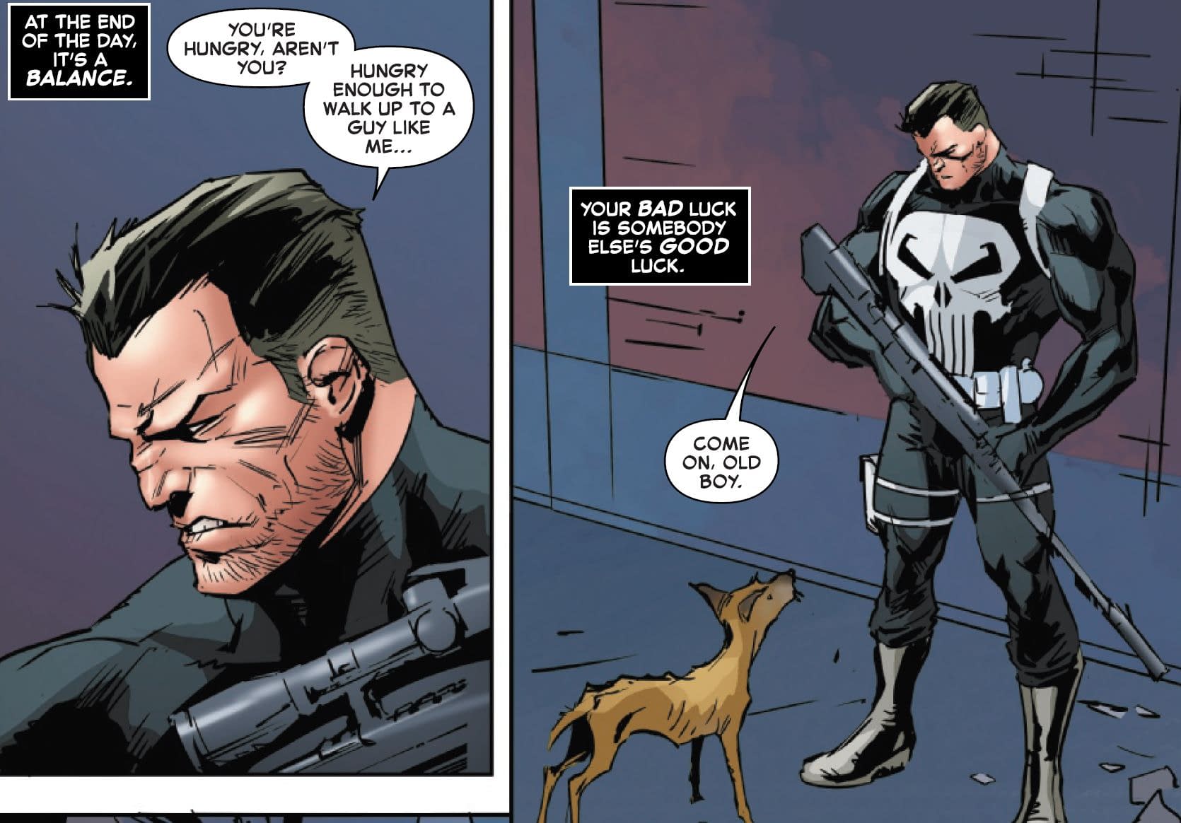 The Black Cat, The Punisher's Dog And John Wick (Spoilers)