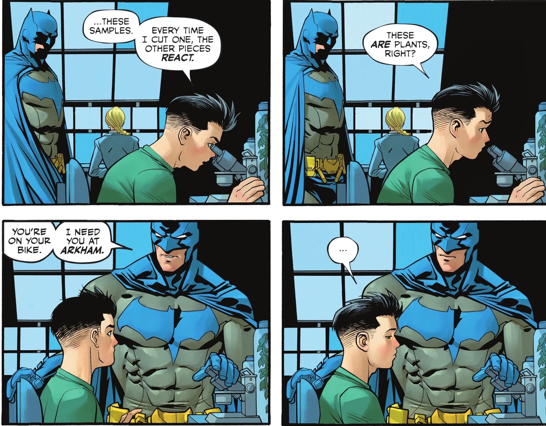 Batman Bad Seeds