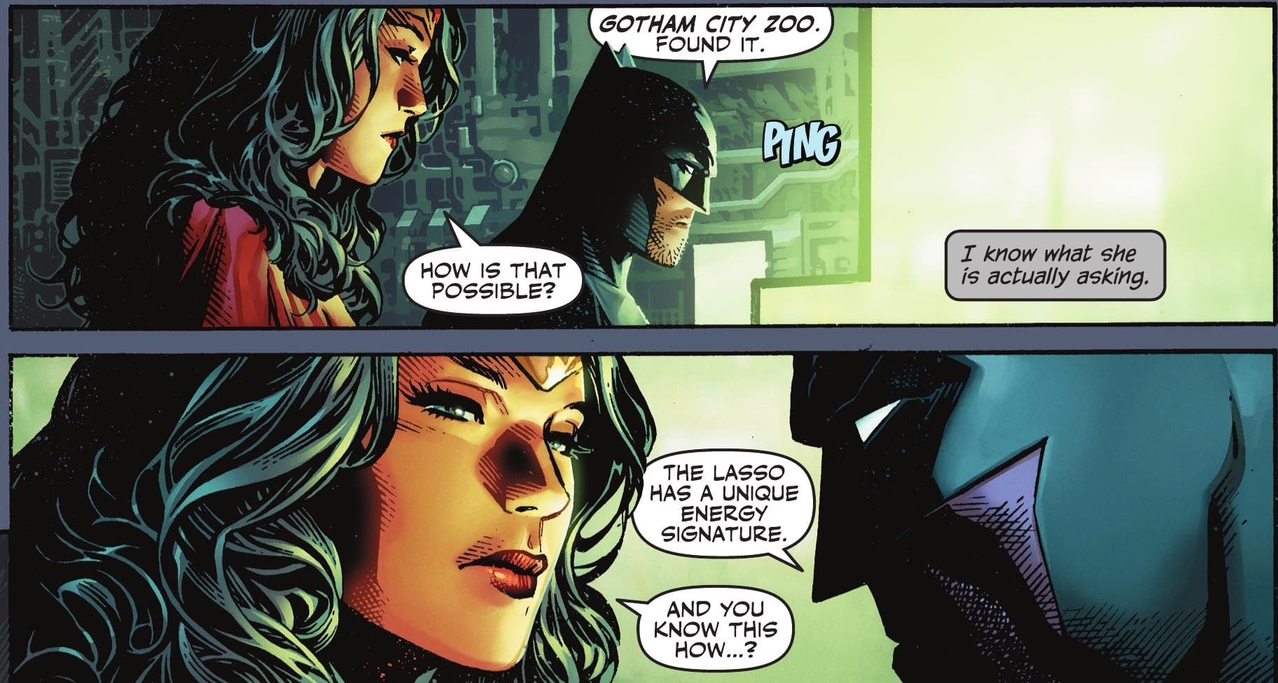 Batman And Catwoman, The Truth, After Hush... (Spoilers)