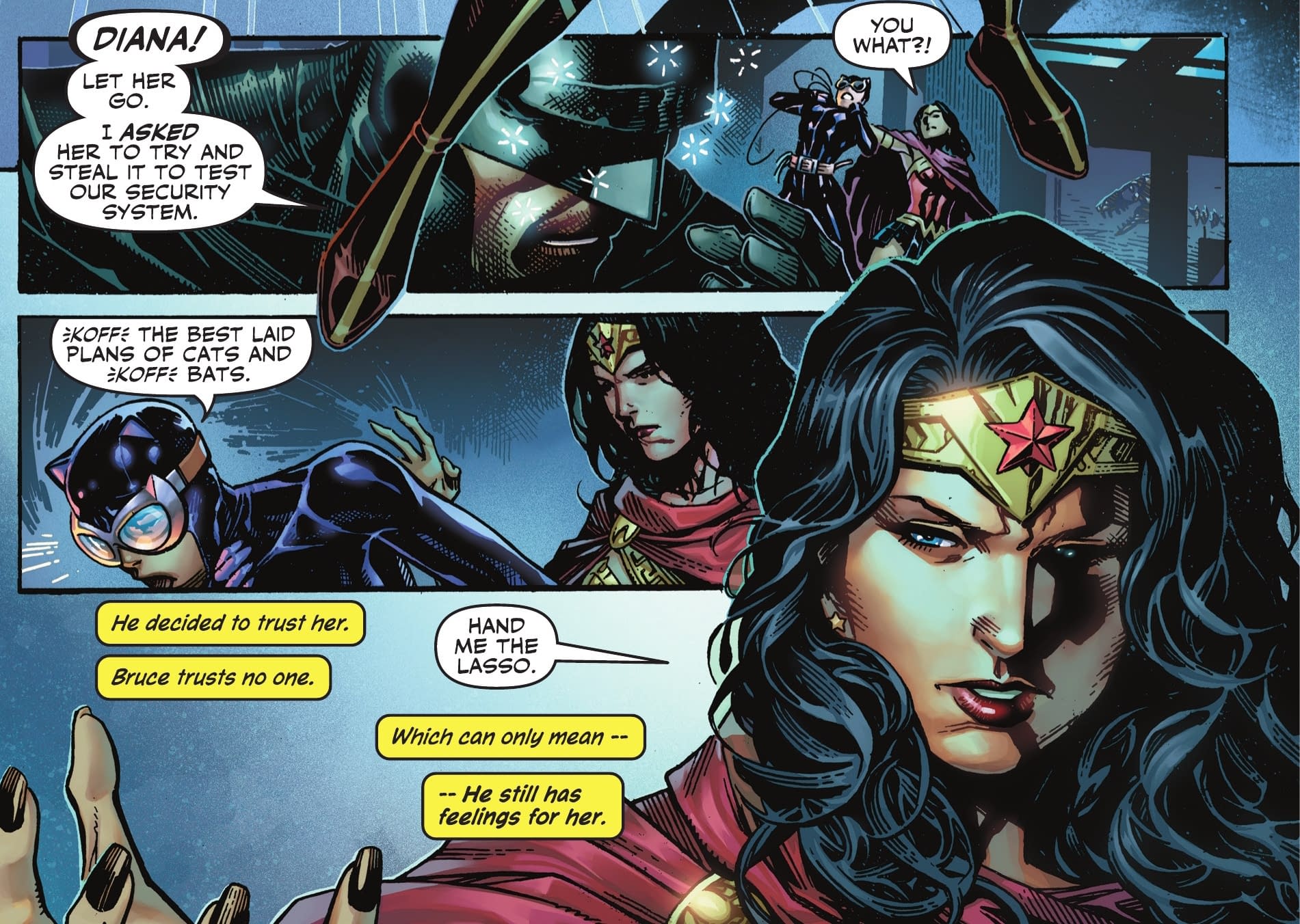 Batman And Catwoman, The Truth, After Hush... (Spoilers)