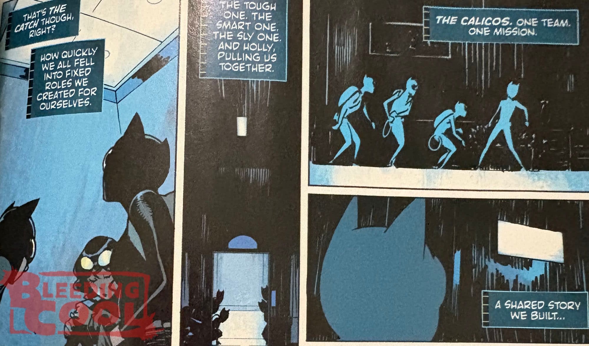 DC Debuts In Absolute Batman #21 And Absolute Catwoman #2 (Spoilers)