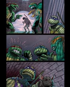 Juan Ferreyra's Teenage Mutant Ninja Turtles- IDW January 2025 Solicits