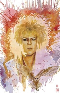 Cover image for JIM HENSONS LABYRINTH #1 (OF 8) CVR E 50 COPY INCV MACK