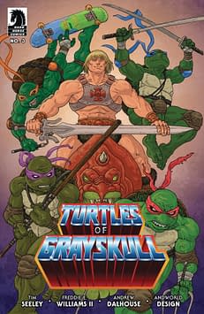 Cover image for MASTERS OF UNIVERSE TMNT TURTLES OF GRAYSKULL #3 CVR C VILLA