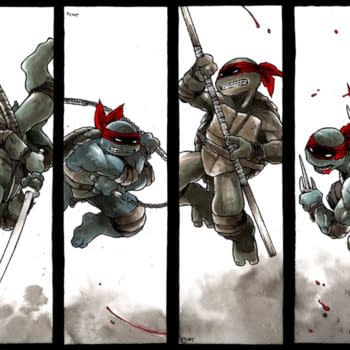 MTV Buy Teenage Mutant Ninja Turtles &#8211; Heroes In A Half-Hundred Million