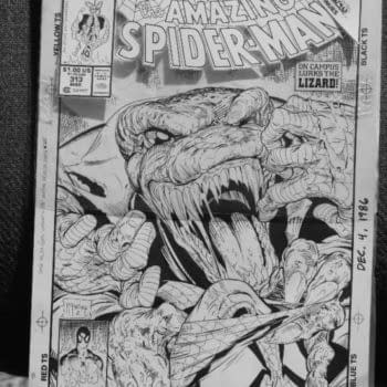 Todd McFarlane Spider-Man Cover Sells For $71,200