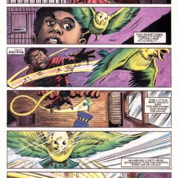 Dwayne McDuffie And The Parakeet