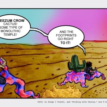 Kicking With Cactus #19 by Chad Hindahl