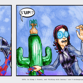 Kicking With Cactus #33 by Chad Hindahl