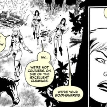 The Rage And The Ridicule Of Red Sonja #1