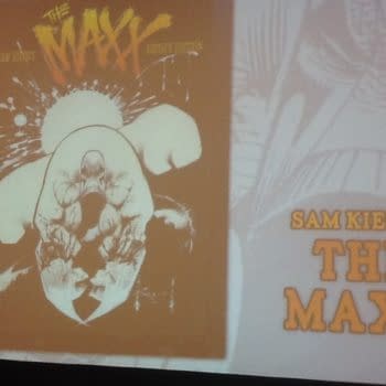IDW Announces New Artist Editions Of The Maxx, Hellboy, Star Slammers, Romita Spider-Man, Marvel Covers And Basil Wolverton's Horizontal Weird Worlds UPDATE