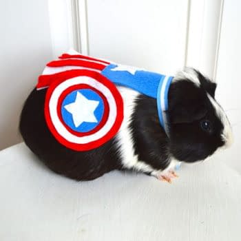 Tiny Superhero Costumes for Rodents Missed a Clever Angle