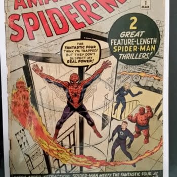 What If Someone Send You The 1961 Amazing Spider-Man #1 In The Post By Accident?
