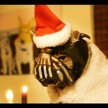 Bane Cat Returns For The Holidays