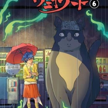 Totoro-Like Retailer Variant Cover For Wayward #6