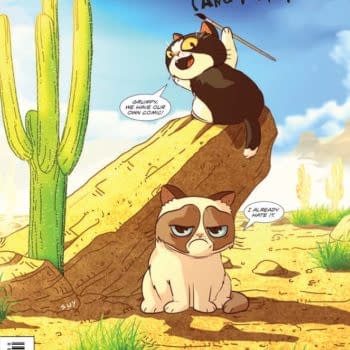 First Cover For The Misadventures Of Grumpy Cat (And Pookey!)