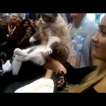 NYCC '15: When Grumpy Cat First Saw NYCC &#8211; And NYCC First Saw Grumpy Cat (VIDEO)
