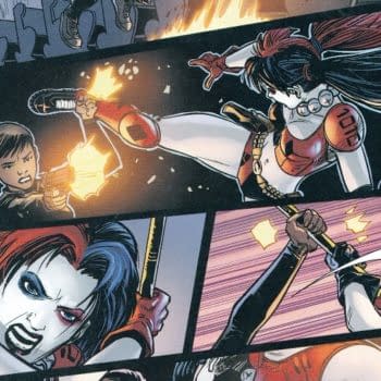 The Two Harley Quinns Of The DC Universe