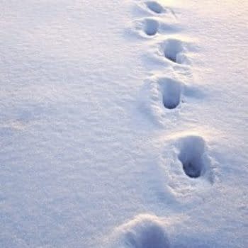 At This Time Of Year, Please Look Out For One Another