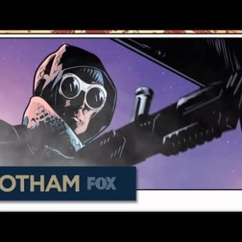 Gotham Stories: The Whole Frozen Affair