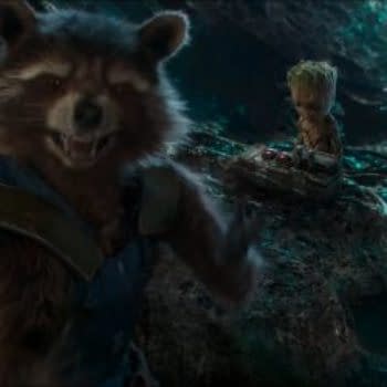 After Avengers: Infinity War, a Rocket Raccoon And Groot Solo Movie?