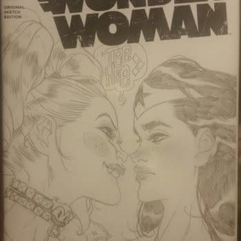 Another DC Comics Sketch Cover Is Finally Unearthed &#8211; Ben Caldwell's Wonder Woman And Harley Quinn