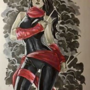 46 Sketches And Commissions Bought At C2E2, From Sharp To Stelfreeze, From Roux To Rossmo