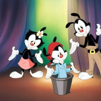 The 90's Nostalgia Train Continues With An 'Animaniacs' Reboot